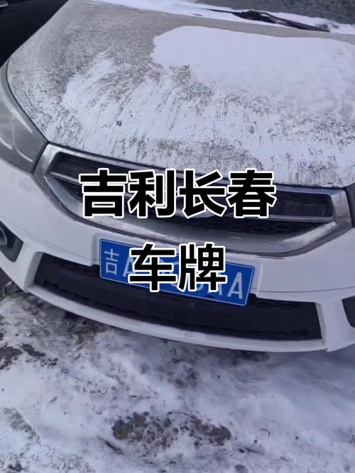 车牌尾数2:好运连连,财富滚滚的幸运符