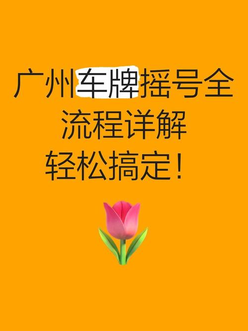 轻松摇号,一网打尽:教你如何网上轻松摇车牌号码