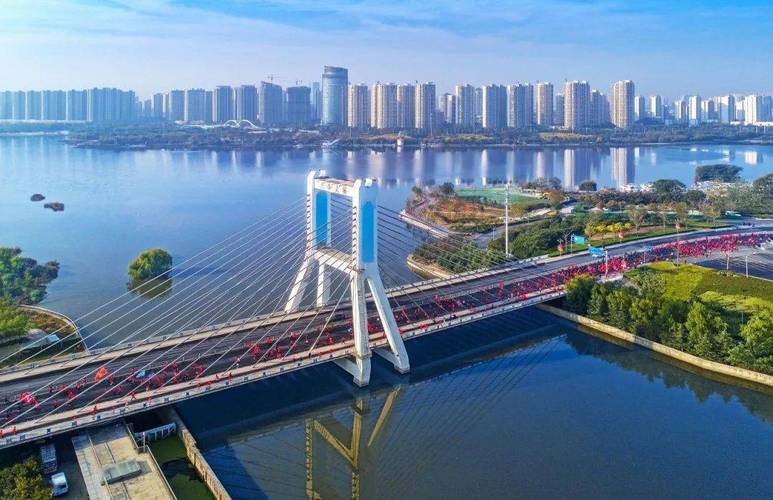 兰城之韵,车牌传情——兰州公司户车牌靓号,点亮城市风采
