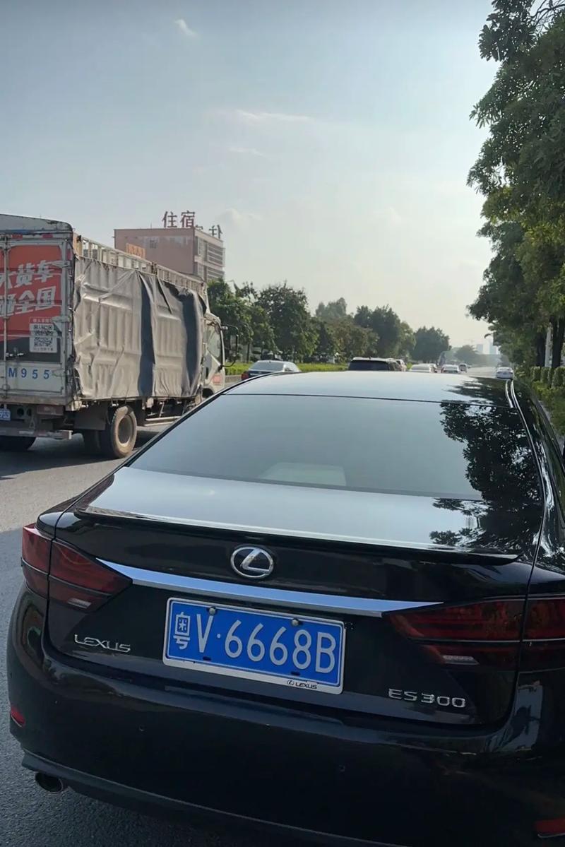 探寻新龙车牌靓号,独特魅力等你来揭晓