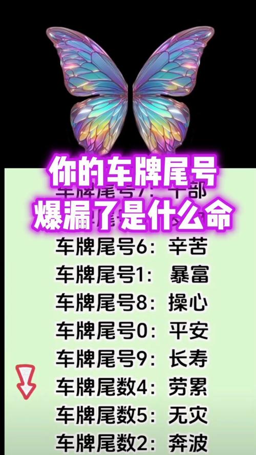 009车牌:背后隐藏的神秘寓意!