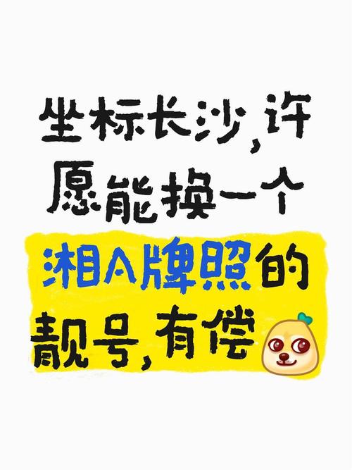 探寻湖南车牌靓号:车牌背后的故事与价值