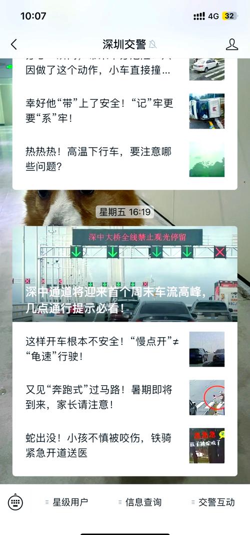 车牌丢失怎么办？紧急攻略助你找回！