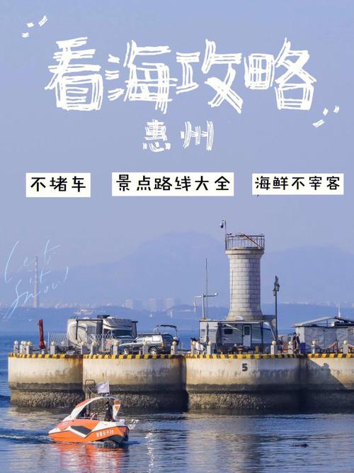 惠州车牌办理攻略:轻松掌握一站式办理流程