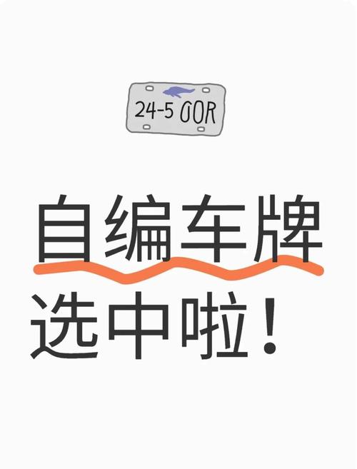 宁波车牌靓号申请攻略：如何轻松拥有一张心仪的车牌