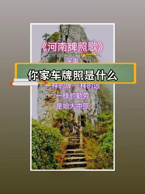 洛阳车牌靓号网:车牌号背后的神秘魅力
