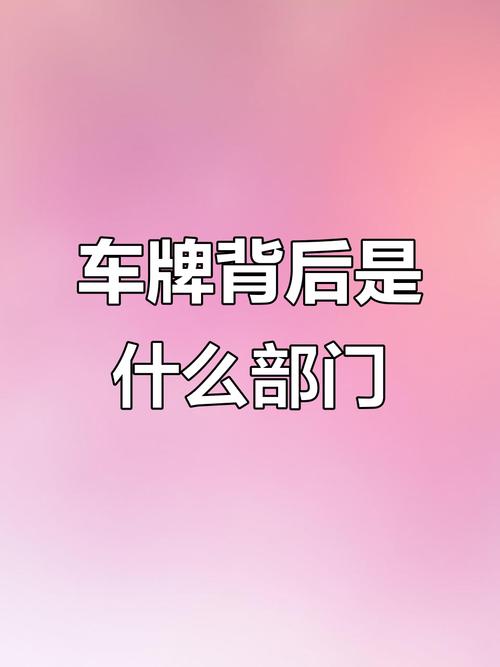 深圳车牌选号热潮:深圳车牌背后的故事