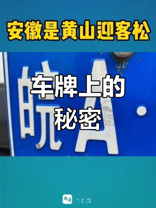 杭州电车靓号车牌引热议,车牌号竟成城市文化新符号