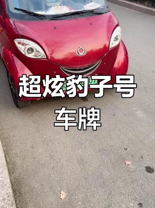 河南车牌靓号豹子亮相,车牌价值引发热议