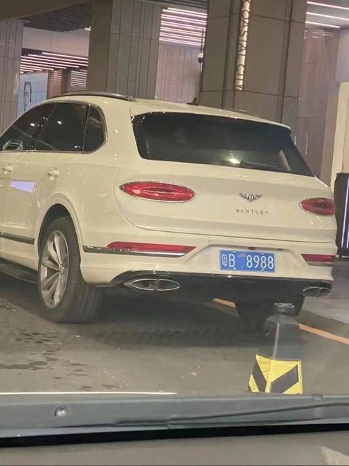 探寻车牌魅力:廉江靓号车牌,一睹为快