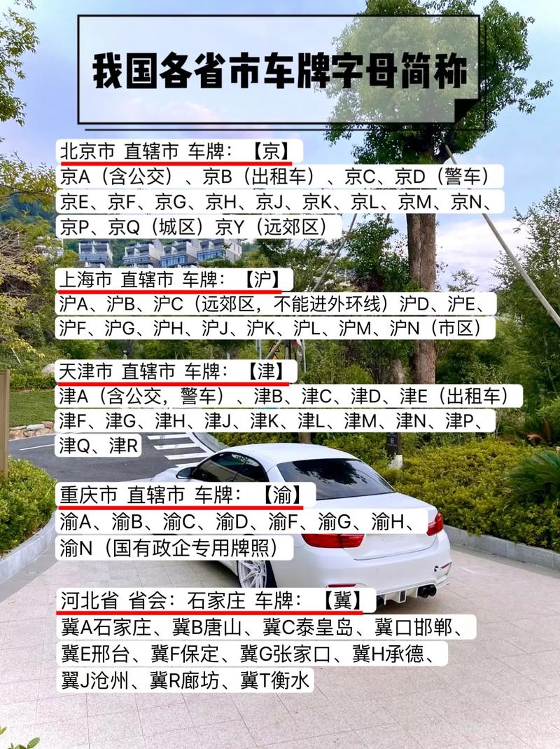 津N:天津牌照背后的故事与魅力