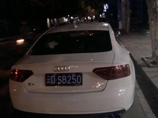 周口街头靓号车牌,车牌文化映照城市魅力