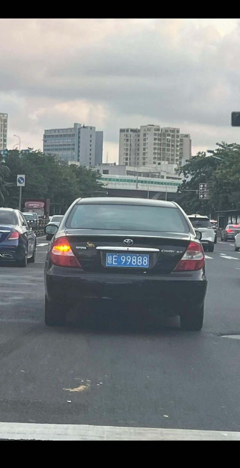 琼的热门车牌号:究竟属于何方神圣?