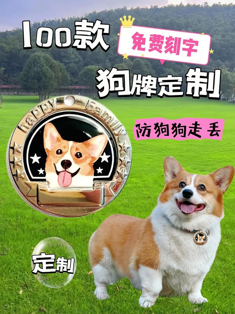 属狗车牌号怎么选?个性车牌新潮流