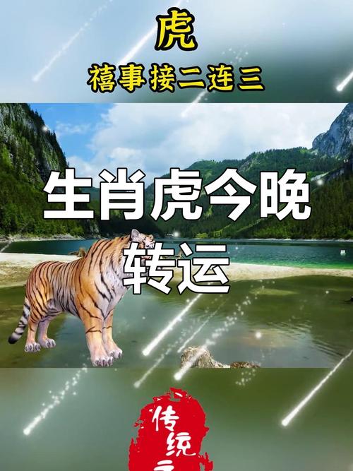 虎啸吉祥:属虎车牌号码中的热门吉祥数字