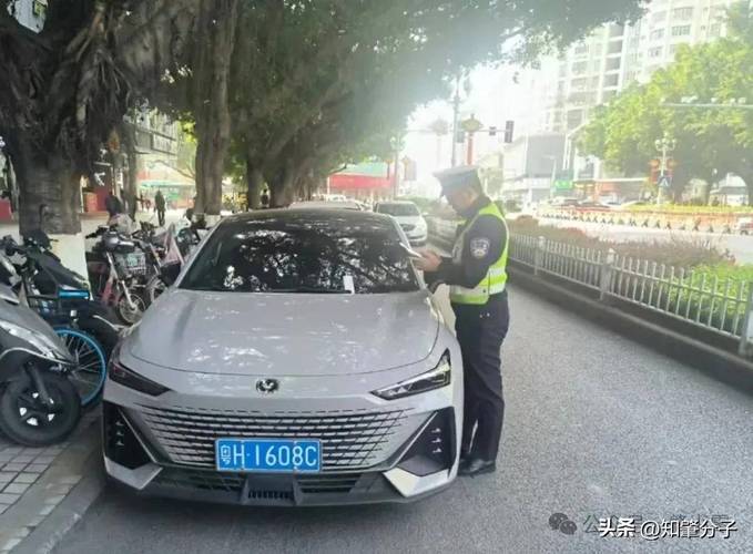 交警总队神秘靓号车牌亮相,背后的故事与传奇