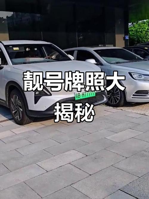 永州车牌新宠:100个靓号齐亮相,车牌界风云再起