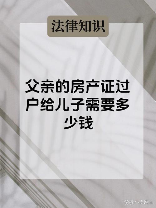 父爱传承:车牌过户见证父子情深