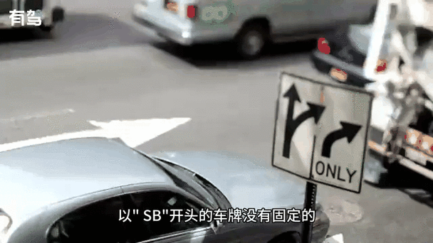 sb车牌含义:车主身份竟如此特殊!