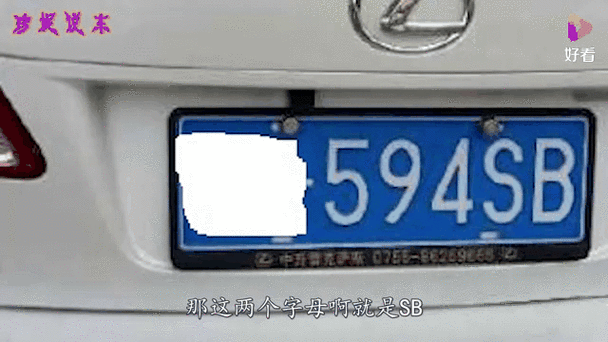 sb车牌含义:车主身份竟如此特殊!