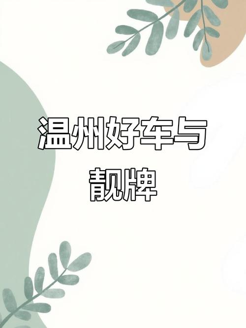 温州车牌拍卖风云:靓号车牌竞拍谁主沉浮?