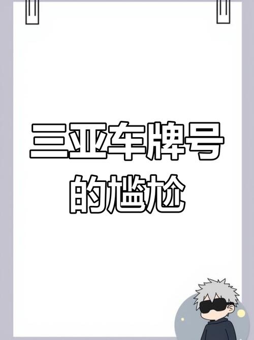 三亚风情,车牌:海南三亚独特车牌魅力尽收眼底