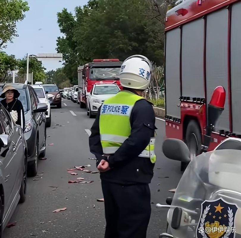 特斯拉车主涉嫌挪车牌位置,真相曝光引热议!