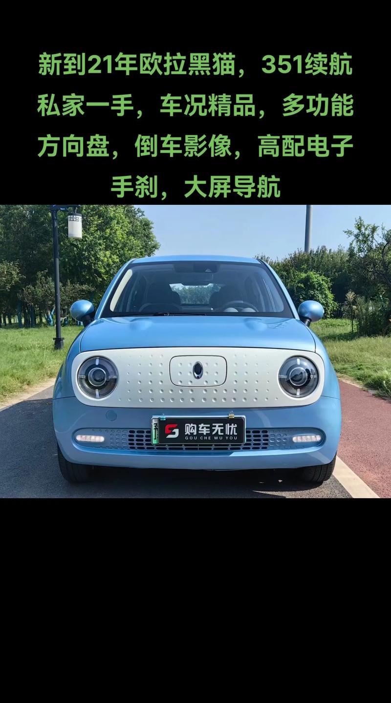欧拉黑猫专属车牌螺丝,匠心独运彰显个性风采