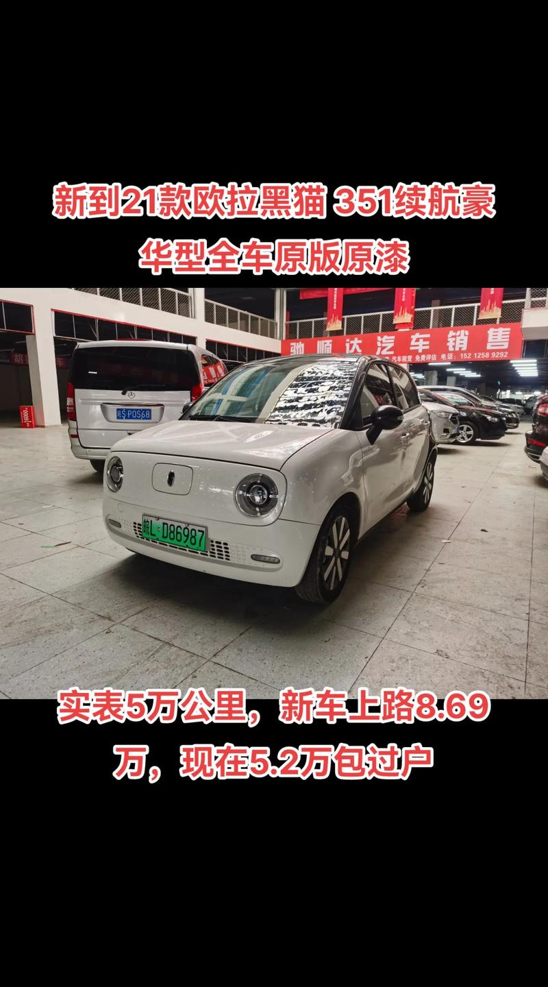 欧拉黑猫专属车牌螺丝,匠心独运彰显个性风采