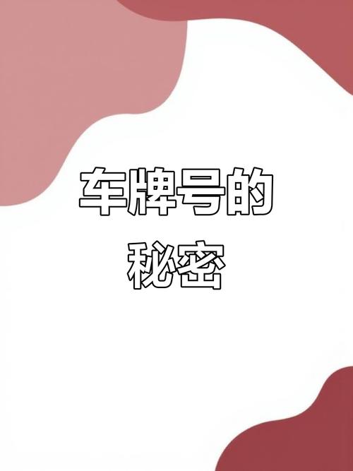 杭州车牌老号靓号背后的故事