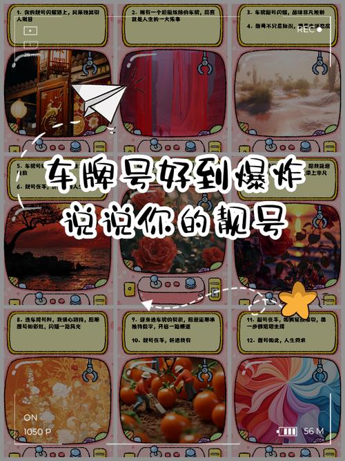 探寻澄迈车牌中的幸运密码:热门靓号大