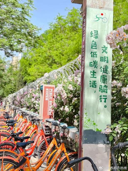 解锁绿色出行新潮流,自行车存车牌标志引领时尚潮流!