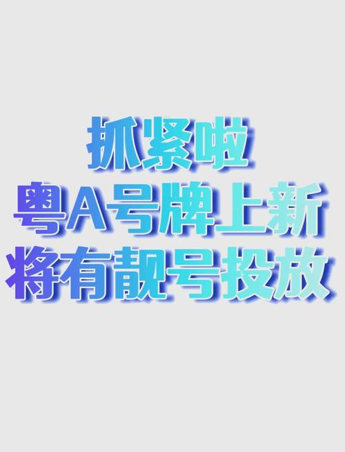 广州车牌选号：探寻靓号背后的故事