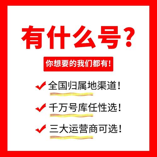 枣庄电动车牌靓号热抢，车主们争相升级身份象征！”