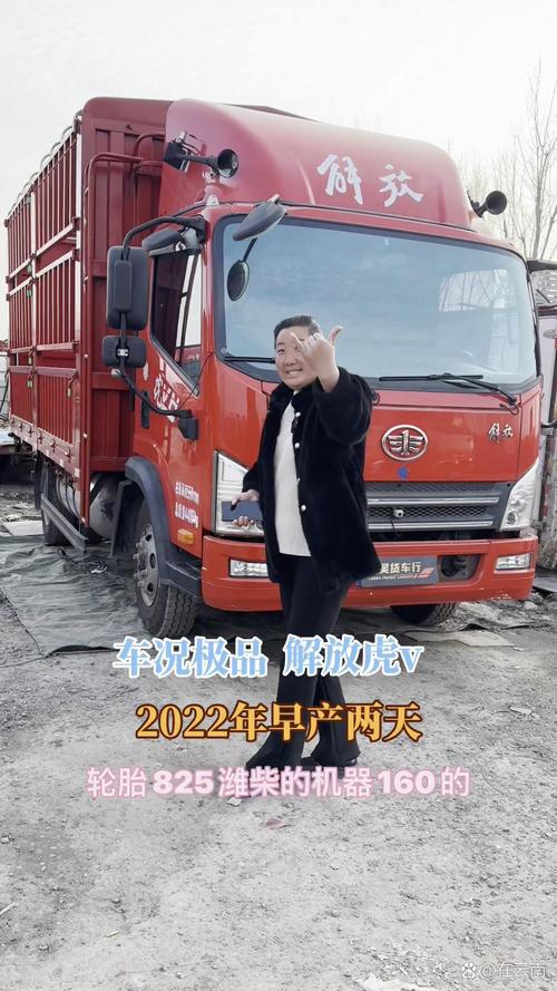 属虎车牌号:虎啸山林,车牌旺运,车牌号大!