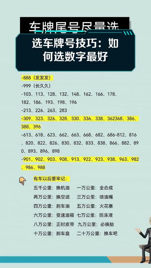 汽车牌照选号网站,轻松打造个性车牌,热门选号攻略大!