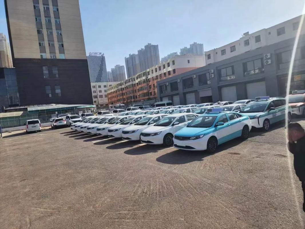 乌海车牌传奇:7777,车牌中的金凤凰