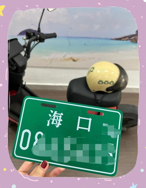 海口电动车牌靓号热抢,万元号码一牌难求!”