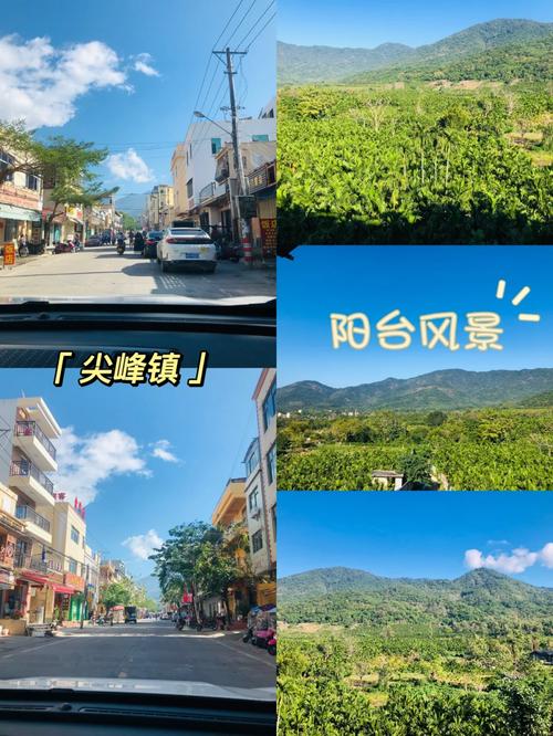 乐东风情,靓号车牌彰显海南魅力