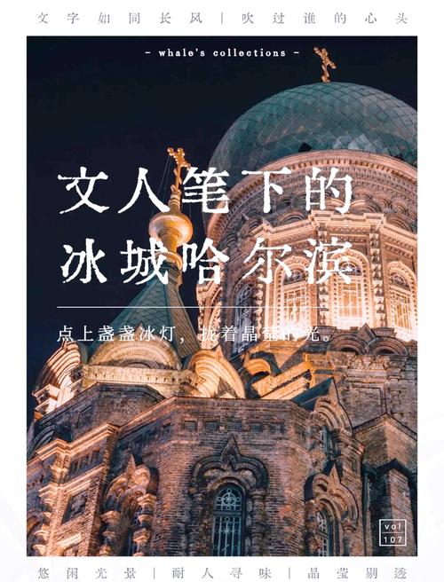 冰城风情:哈尔滨车牌背后的地域魅力