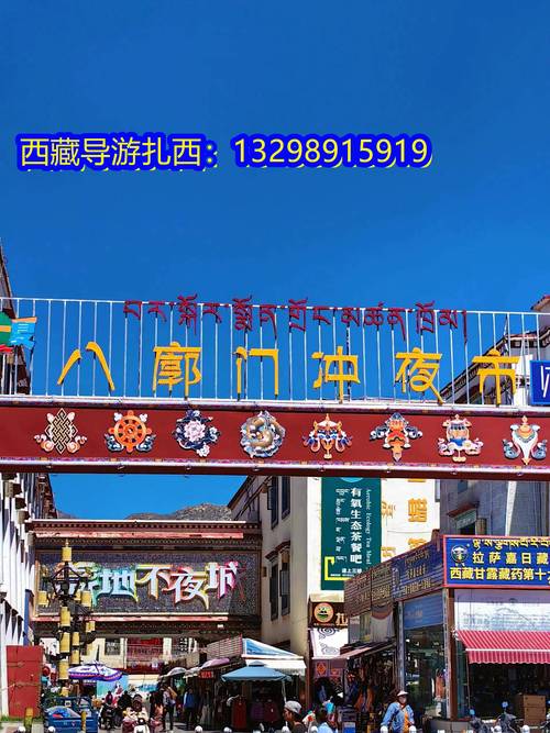 拉萨车牌号:独特标识背后的文化韵味