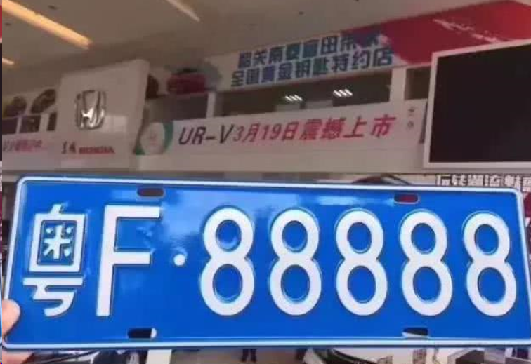 宁波街头现豹子车牌,靓号车牌引热议