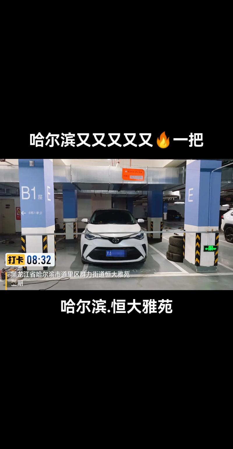 哈尔滨车牌靓号惊现,车牌号码竟如此独特
