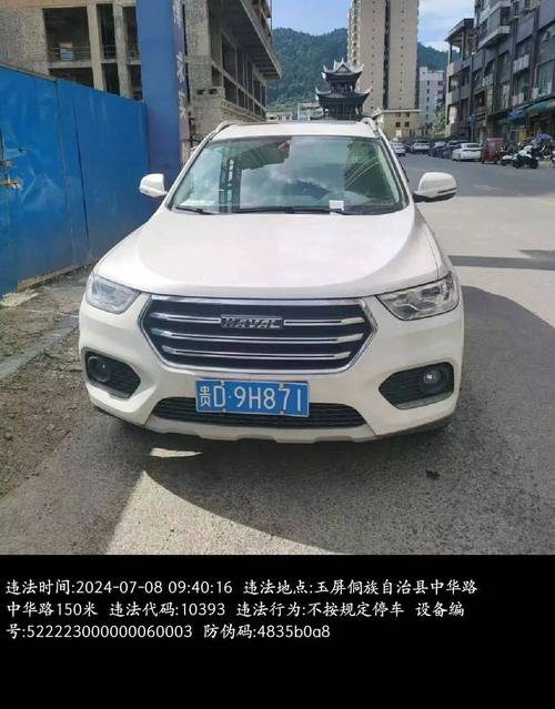 双鸭山车牌靓号,独特魅力等你来寻