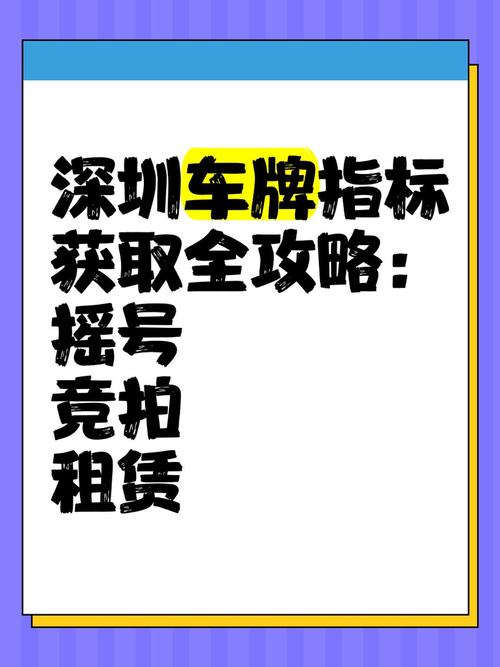 深圳车牌竞拍攻略:高效中标秘诀!