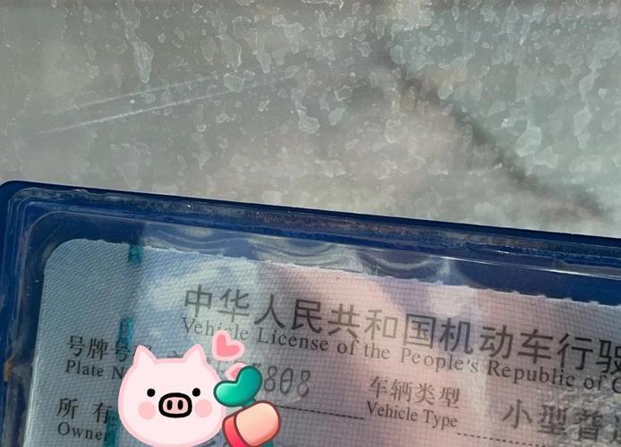 新疆车牌靓号火热出炉!抢购新疆车牌吉祥号码,尽享尊贵出行体验!