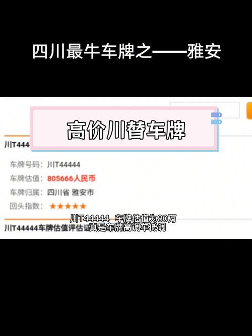探寻重庆车牌中的独特韵味:靓号背后的故事与传奇