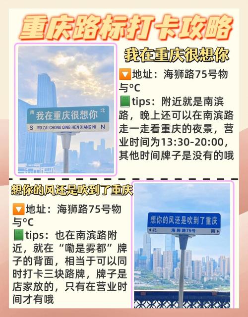 探寻重庆车牌中的独特韵味:靓号背后的故事与传奇