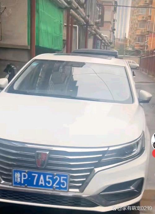 车牌上哪里都可以成热门话题,网友热议:这是要上天吗?