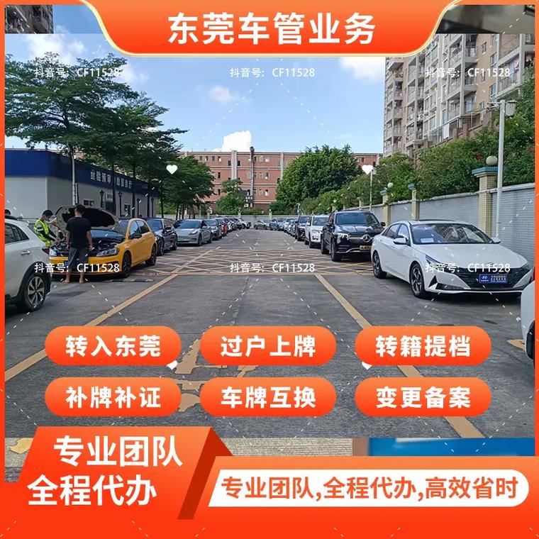 东莞车牌靓号投放引热潮,车主们争相竞拍